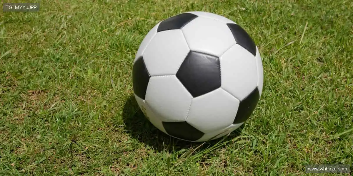 🚴骑行装备升级，征服每一公里！