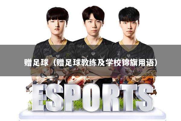 赠足球(赠足球教练及学校锦旗用语)